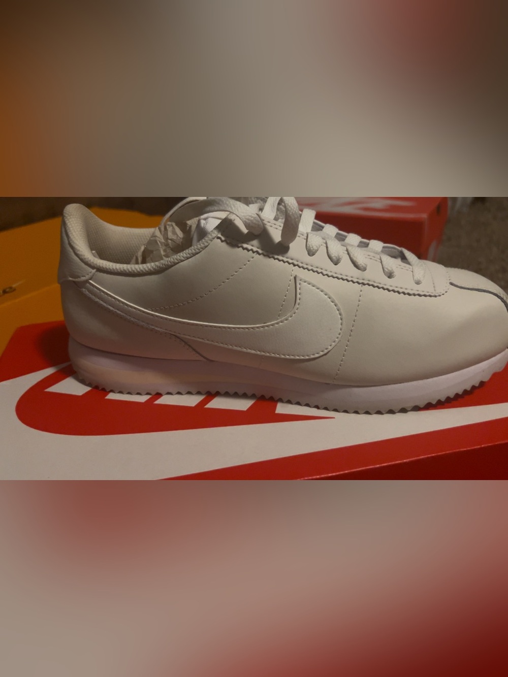 Nike Red Shoe Box Label — Size 10